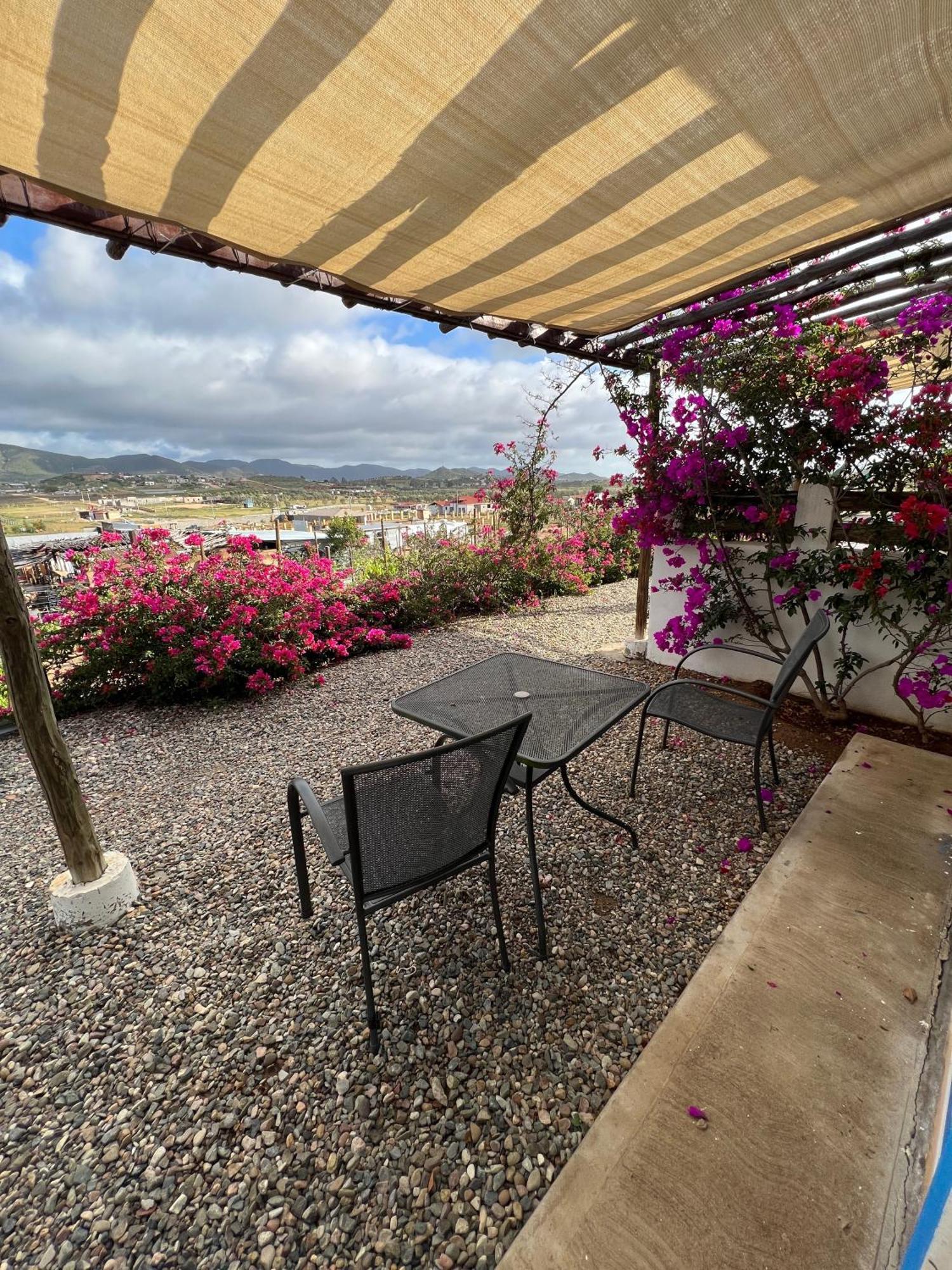 Santerra, Valle De Guadalupe Ngoại thất bức ảnh