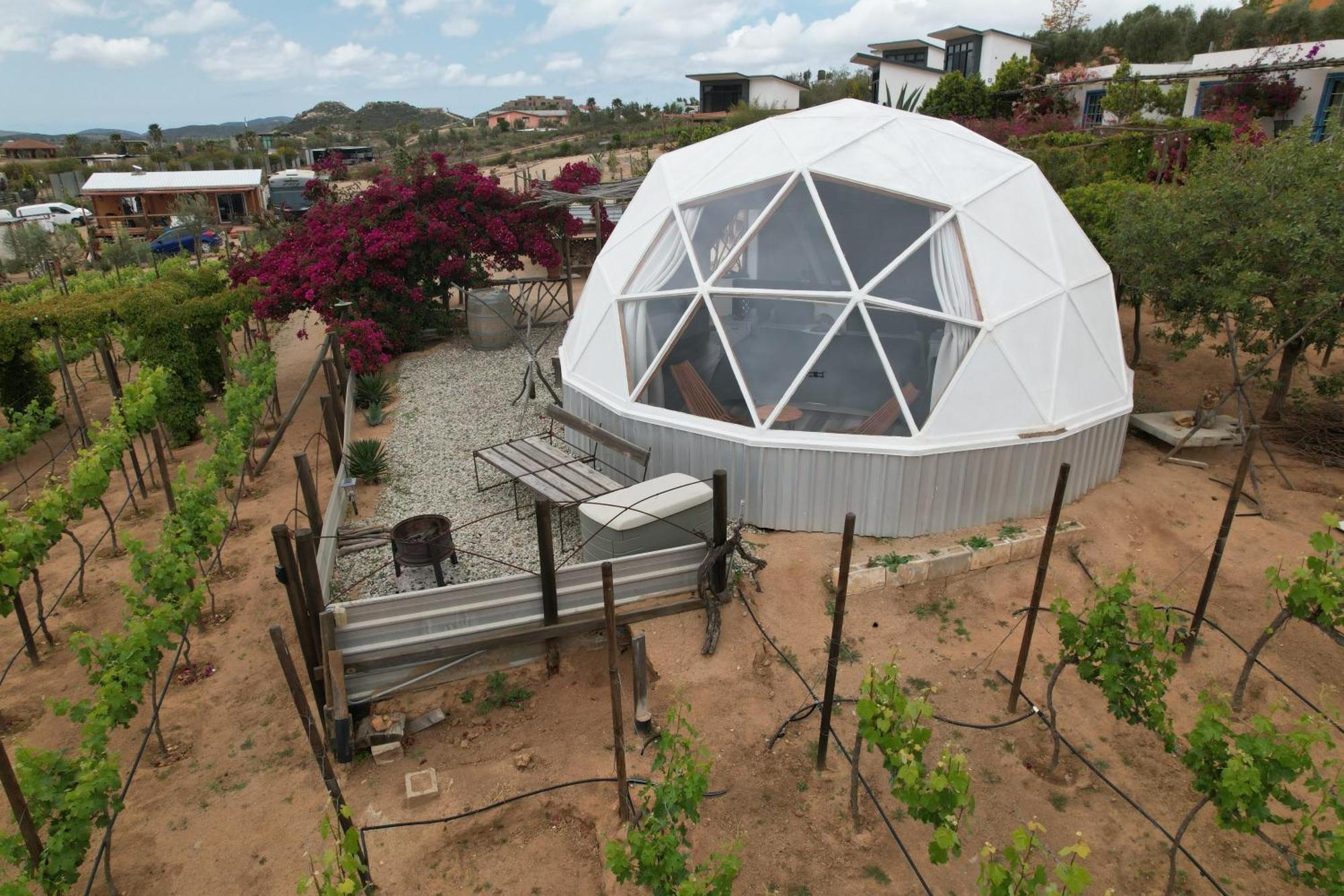 Santerra, Valle De Guadalupe Ngoại thất bức ảnh